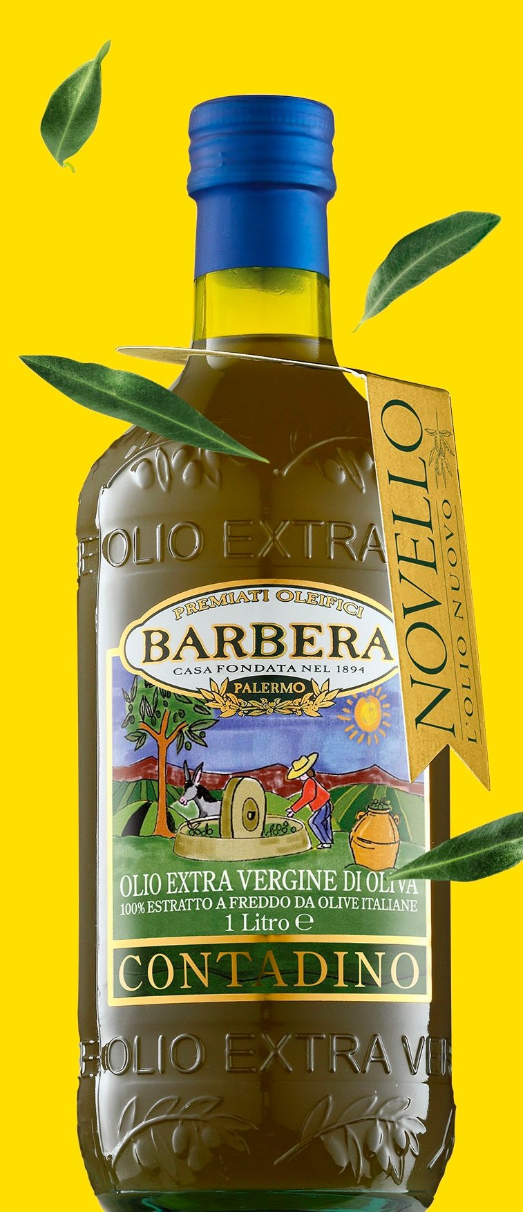OlioBarbera