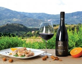Antica Tindari Vinhedos
